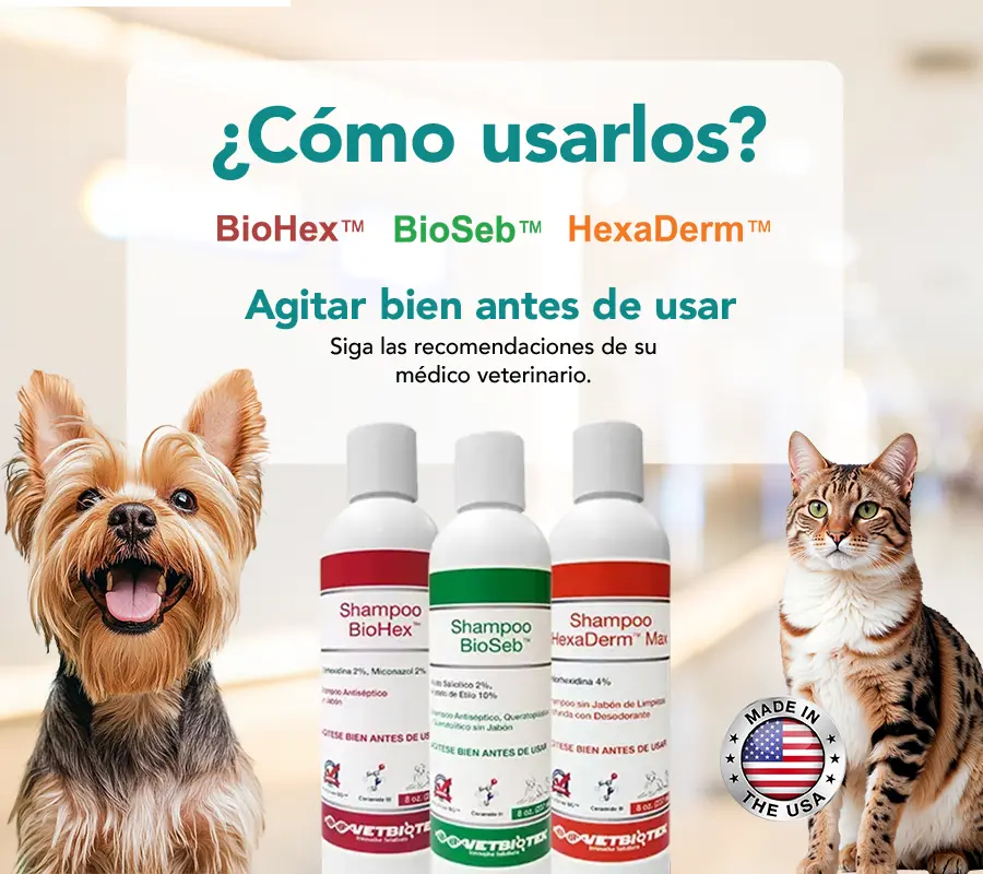 productos-mesag-bn-mobile-1
