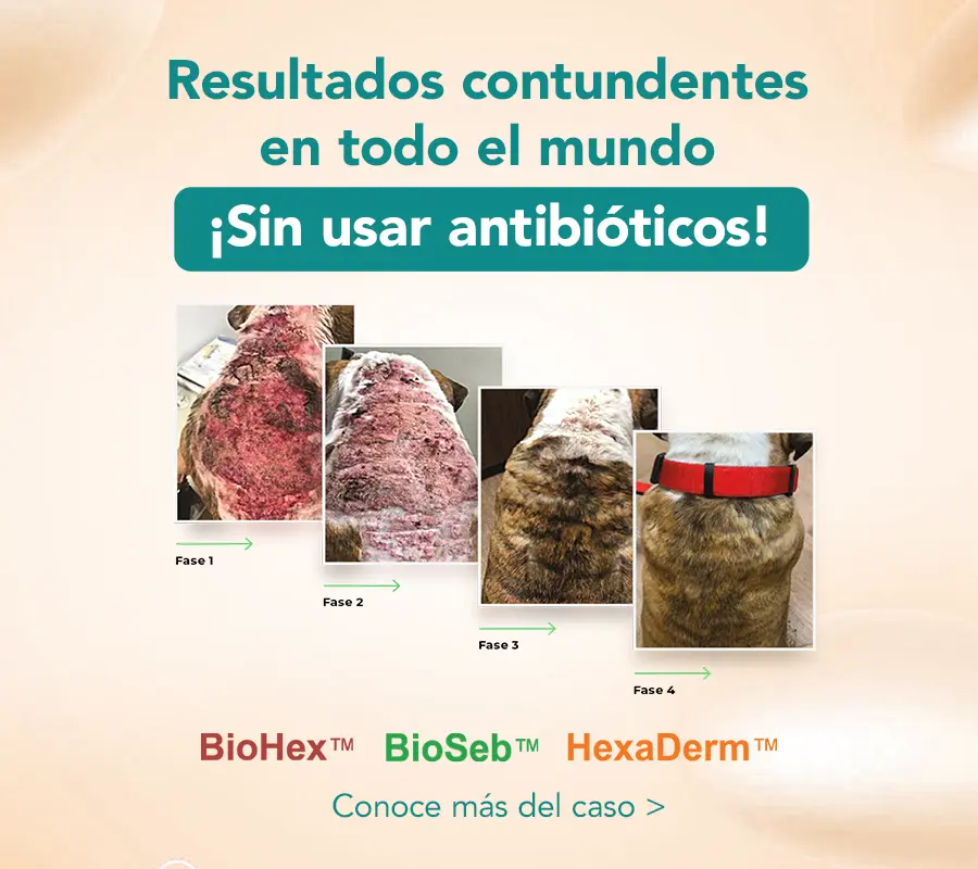 productos-mesag-bn-mobile-3