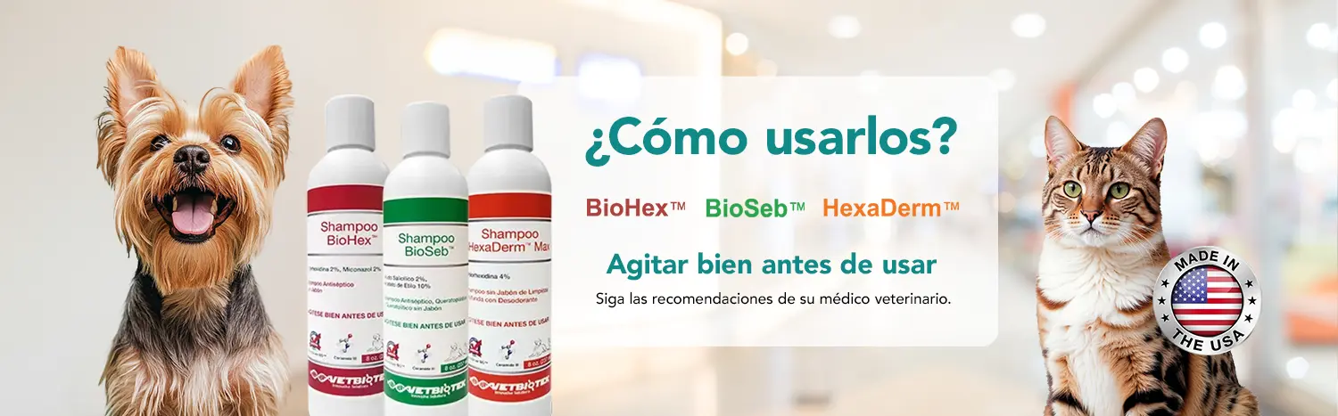 Productos Mesag línea dermatológica
