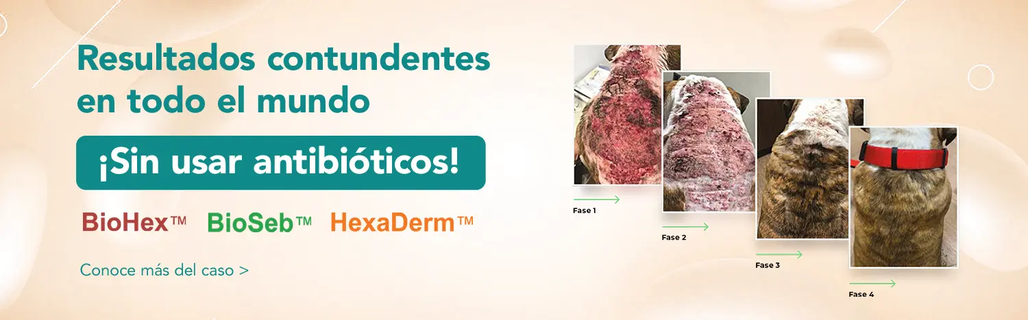 Resultados contundentes en todo el mundo